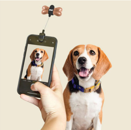 Dog treat selfie clip | Kikkerland - Babelle