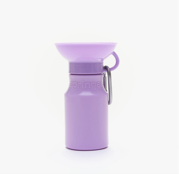 Small Waterbottle  | Springer - Babelle