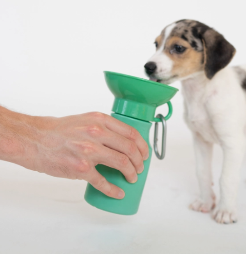 Small Waterbottle  | Springer - Babelle