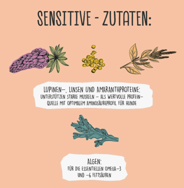 Sensitive Protein natvoer 400g | Vegdog - Babelle