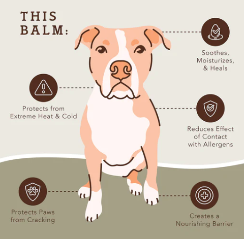 Pawtection | Natural dog company - Babelle