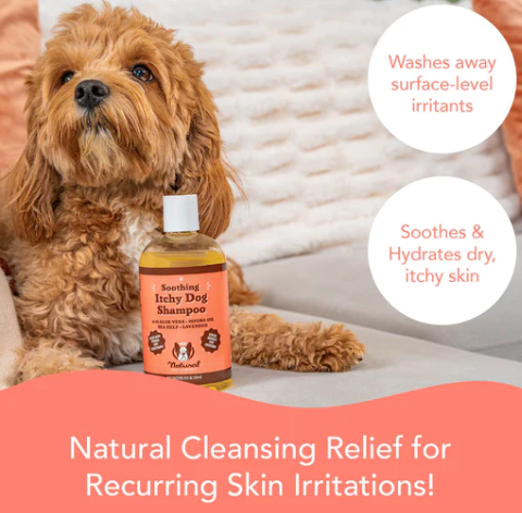 Itchy Dog Shampoo | Natural dog company - Babelle