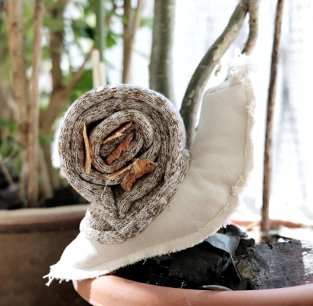 Snail | Lambwolf - Babelle