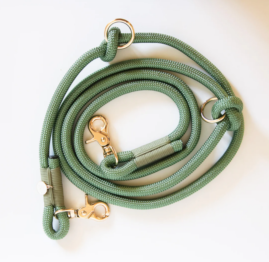 Sage Handsfree Leash | Furlou - Babelle