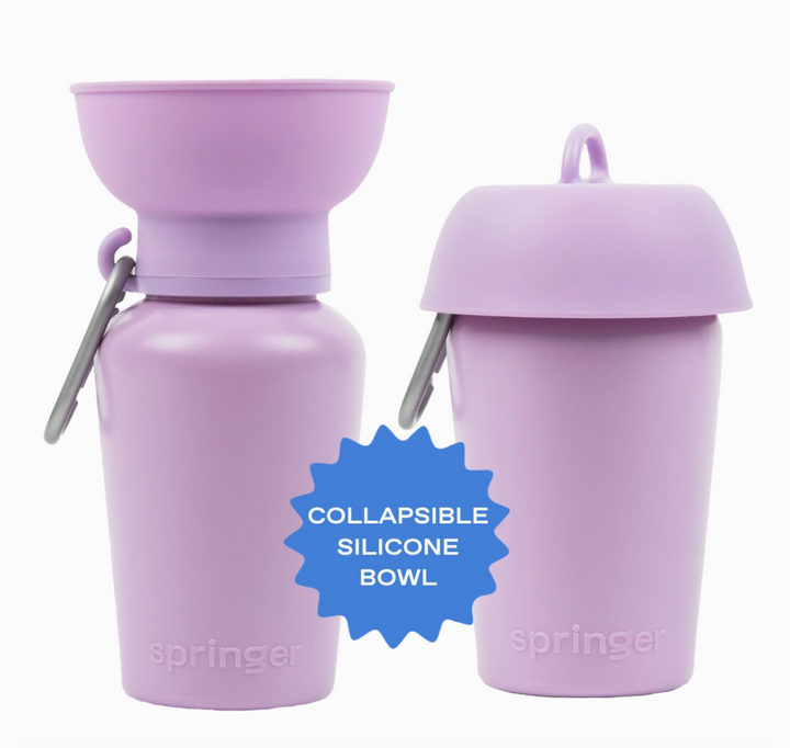 Flip Waterbottle  | Springer - Babelle