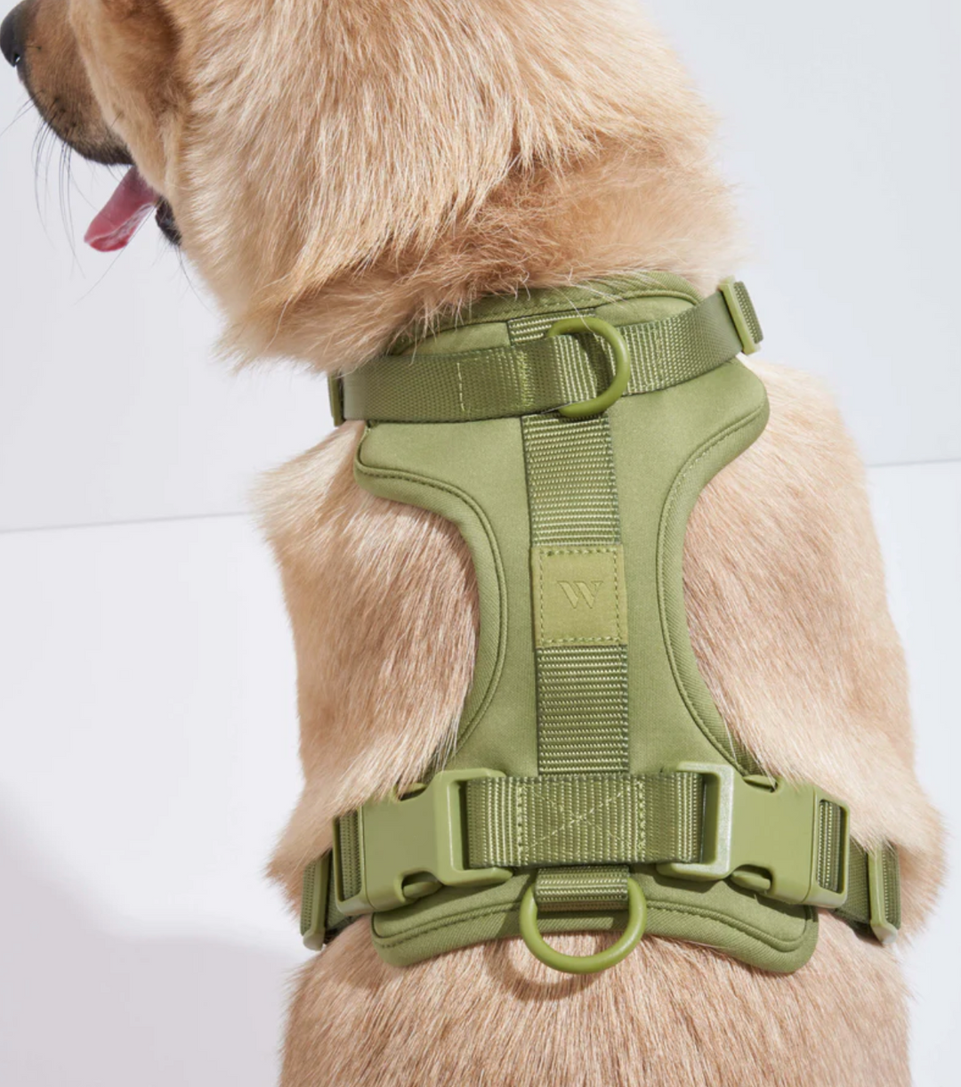 Moss Harness | Wild One - Babelle