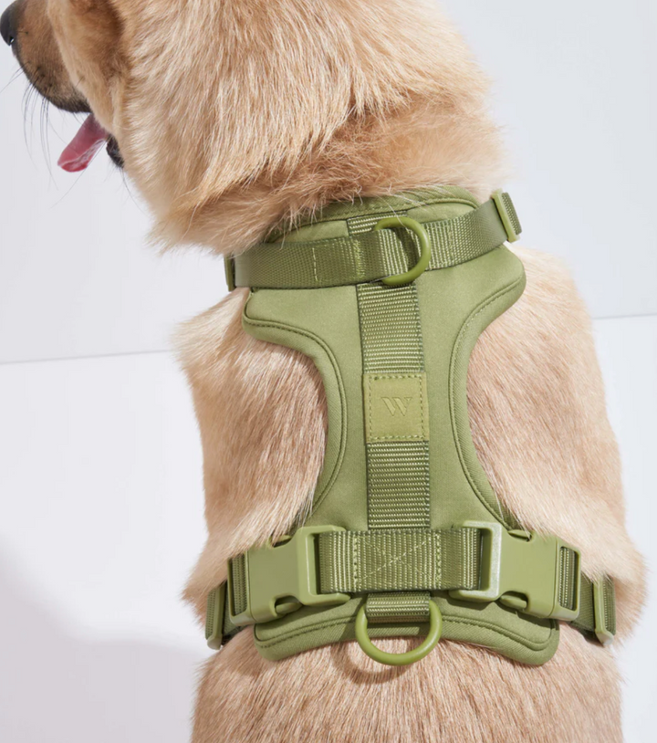 Moss Harness | Wild One - Babelle
