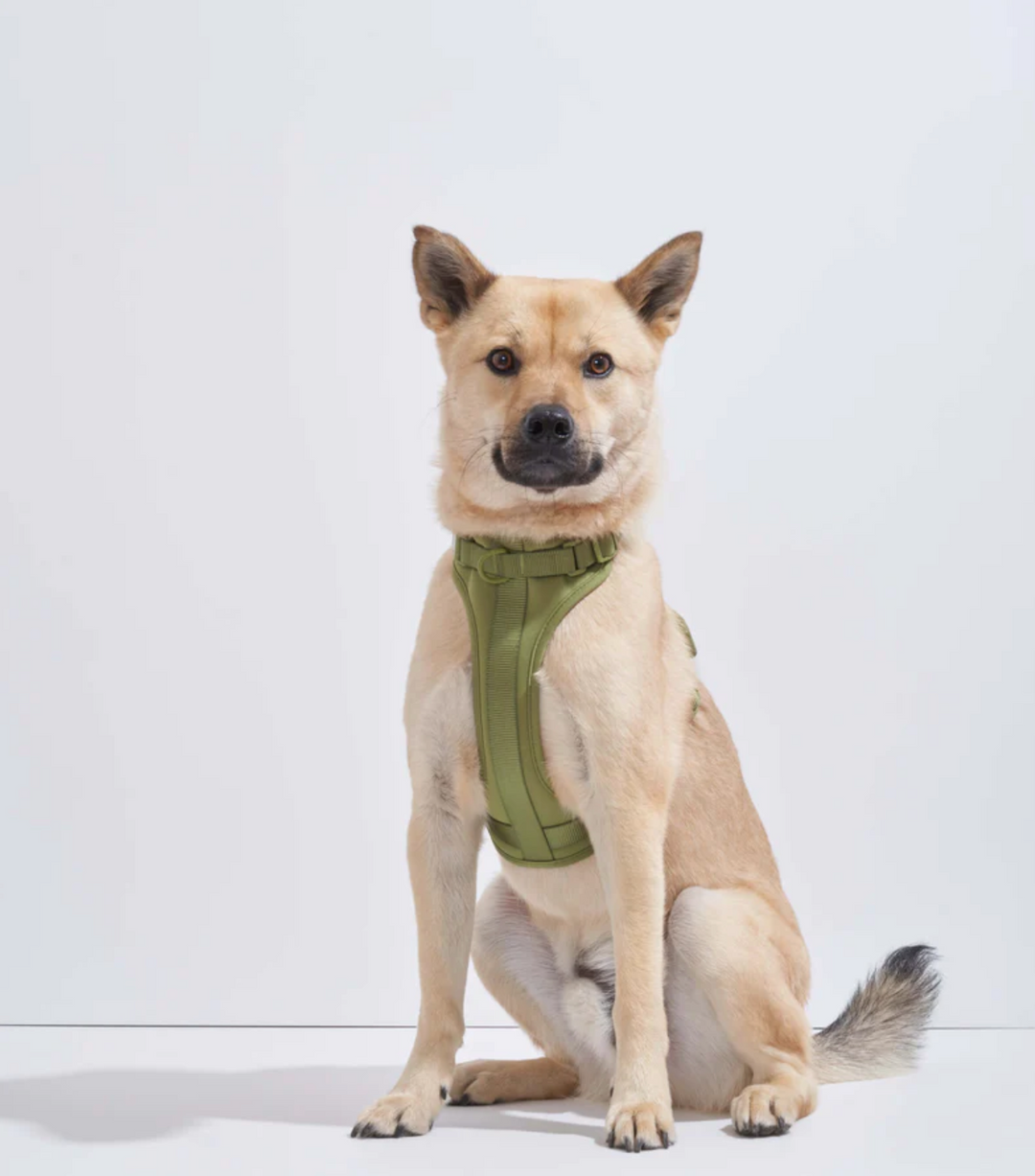 Moss Harness | Wild One - Babelle