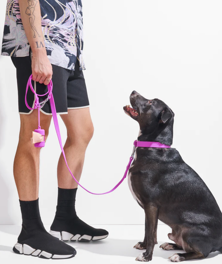 Orchid Leash | Wild One - Babelle