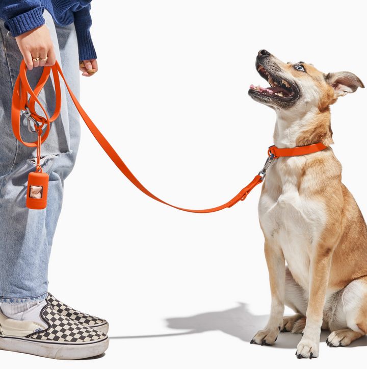 Orange Blaze Leash | Wild One - Babelle