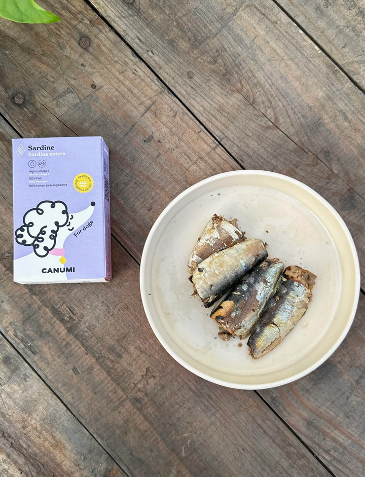 Sardines | Canumi - Babelle