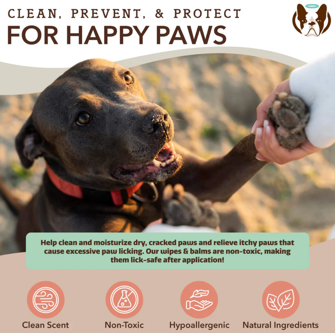 Paw Wipes | Natural dog company - Babelle