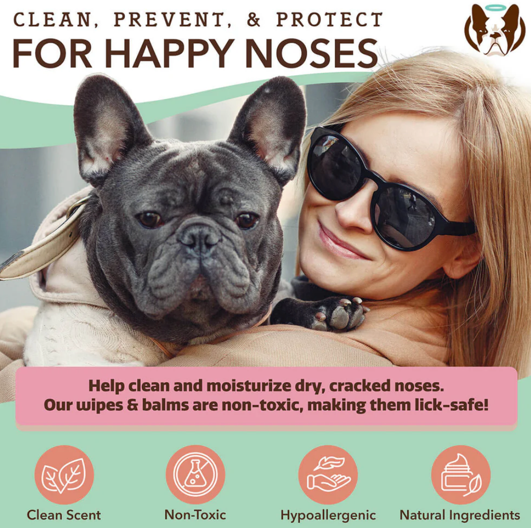 Snout Wipes | Natural dog company - Babelle