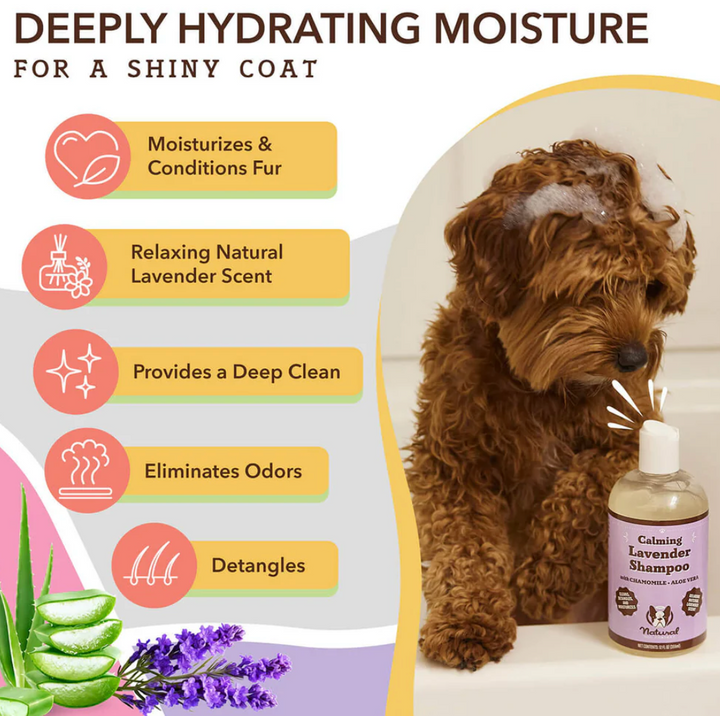 Calming Lavender Shampoo | Natural dog company - Babelle