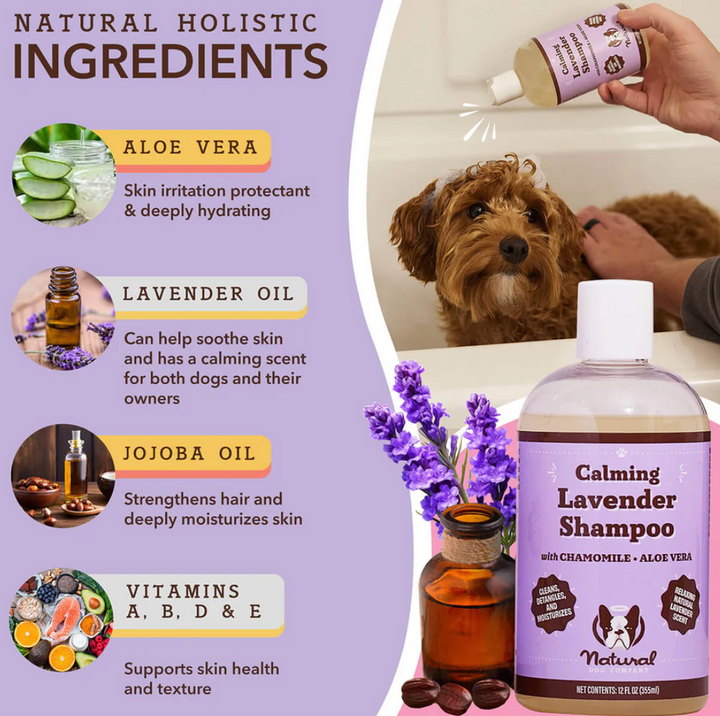 Calming Lavender Shampoo | Natural dog company - Babelle
