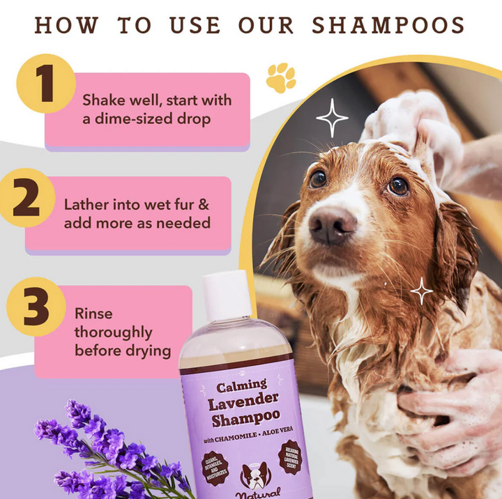 Calming Lavender Shampoo | Natural dog company - Babelle