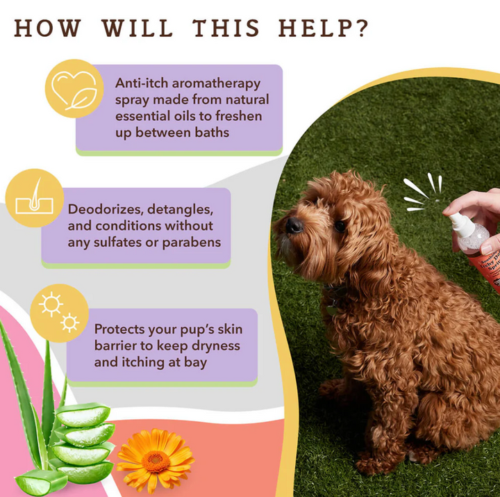 Itchy Dog Spritz | Natural dog company - Babelle