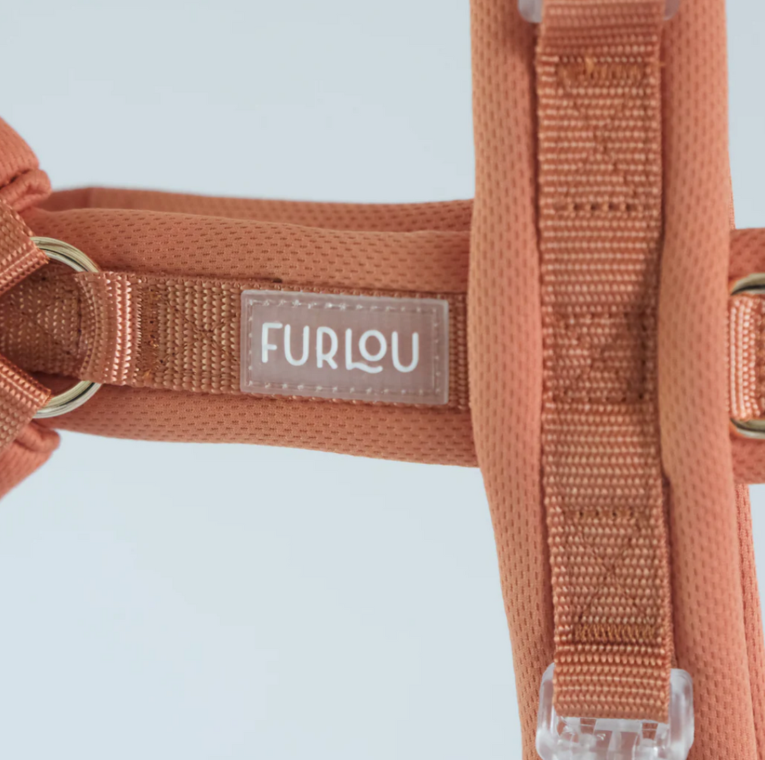 Terracotta Comfort Harness| Furlou - Babelle