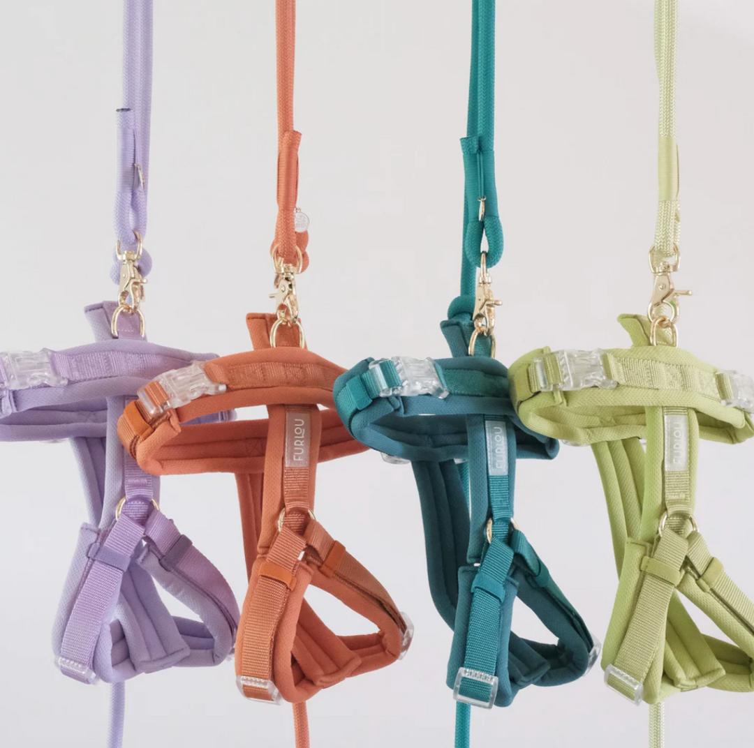 Lavender Comfort Harness| Furlou - Babelle