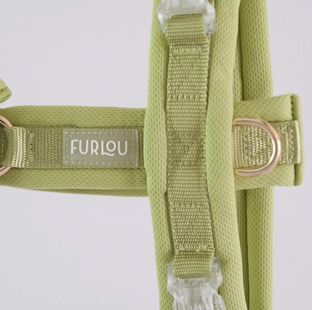 Lime Green Comfort Harness| Furlou - Babelle