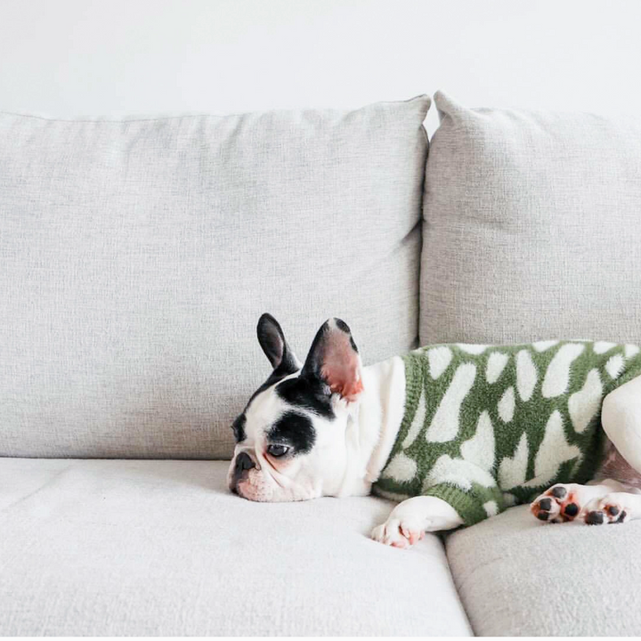 Soft Cloud Sweater | Pups & Bubs - Babelle
