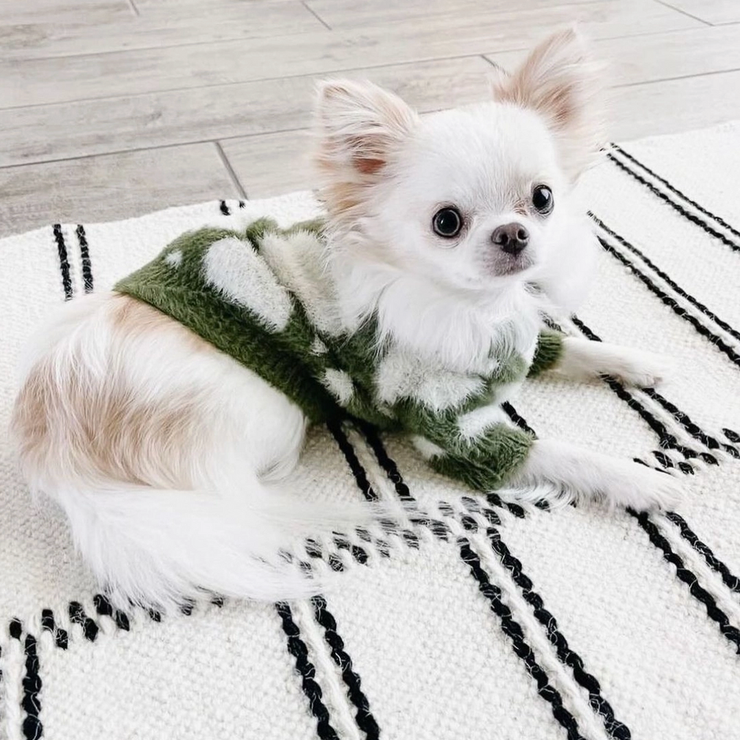 Soft Cloud Sweater | Pups & Bubs - Babelle