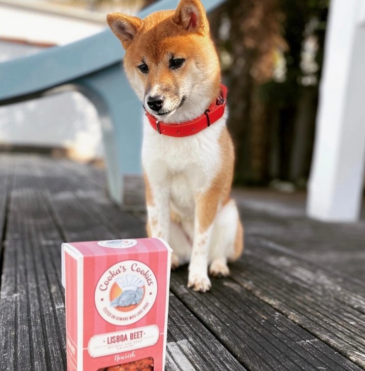 Lisboa Dog Treat | Cooka's Cookies - Babelle