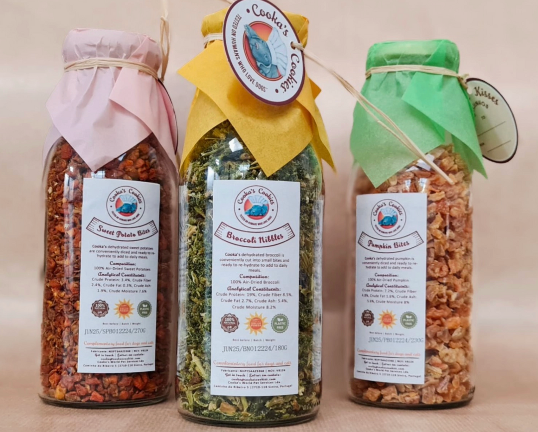 Carrot Chips | Cooka's Cookies - Babelle