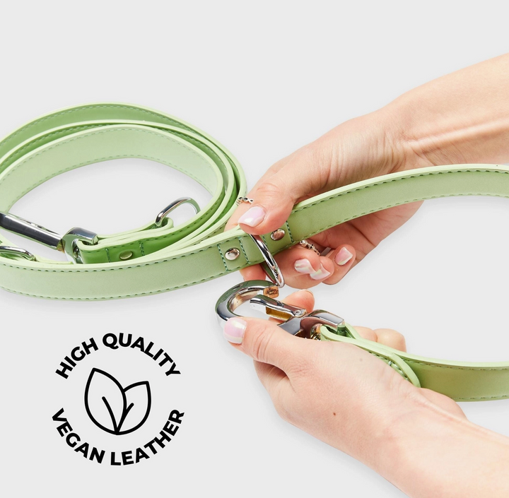 Lush Green Versatile Leash | Barc London - Babelle