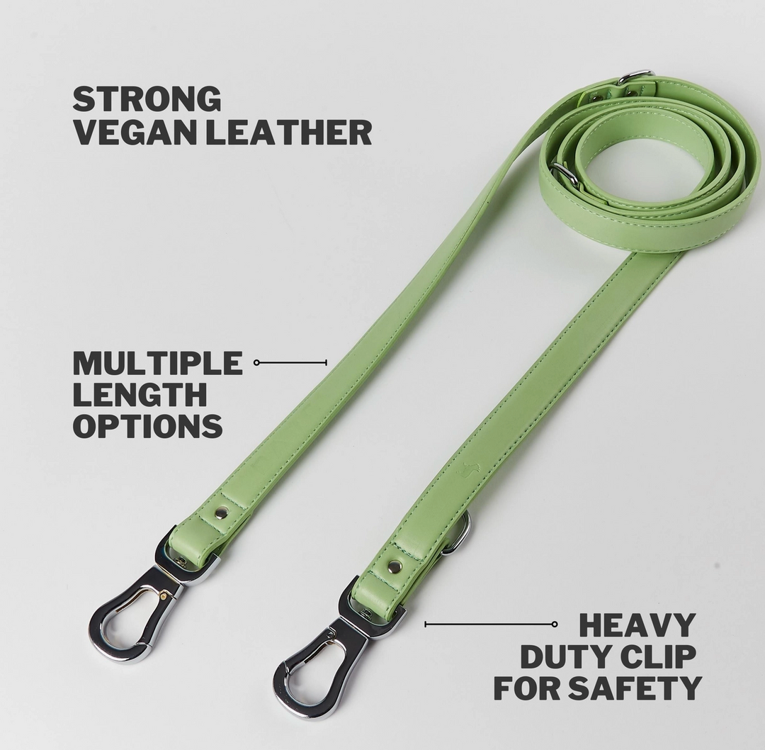 Lush Green Versatile Leash | Barc London - Babelle