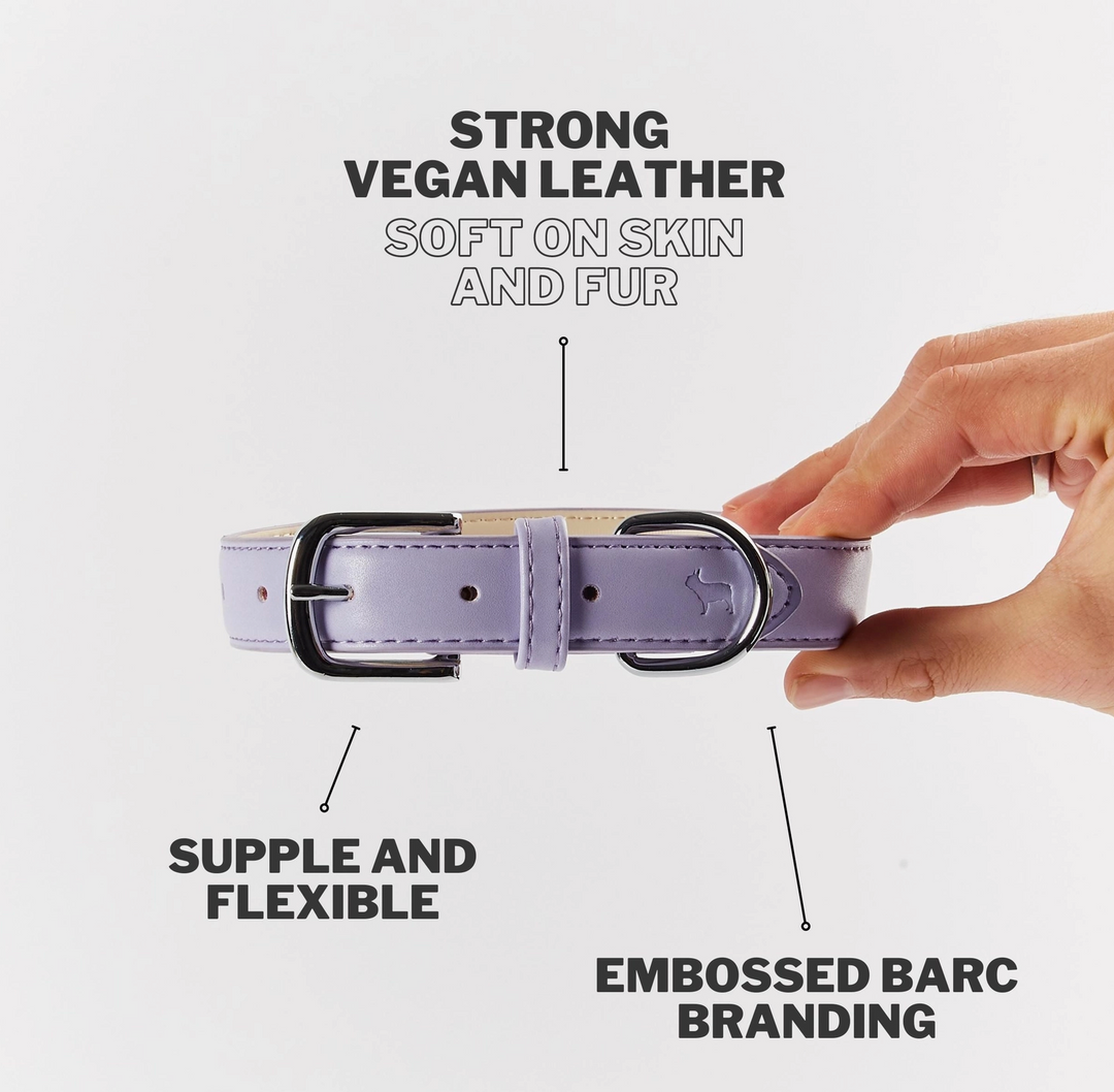 Fresh Lilac Dog Collar | Barc London - Babelle