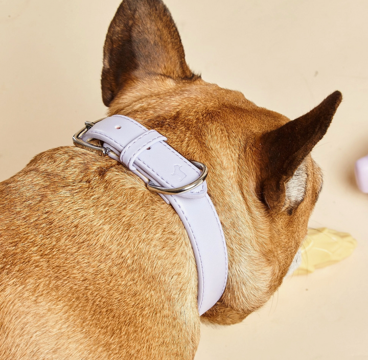 Fresh Lilac Dog Collar | Barc London - Babelle