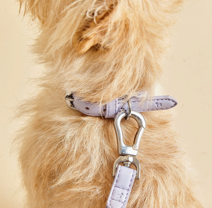 Fresh Lilac Dog Collar | Barc London - Babelle