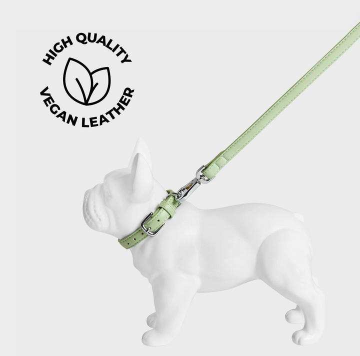 Lush Green Dog Collar | Barc London - Babelle