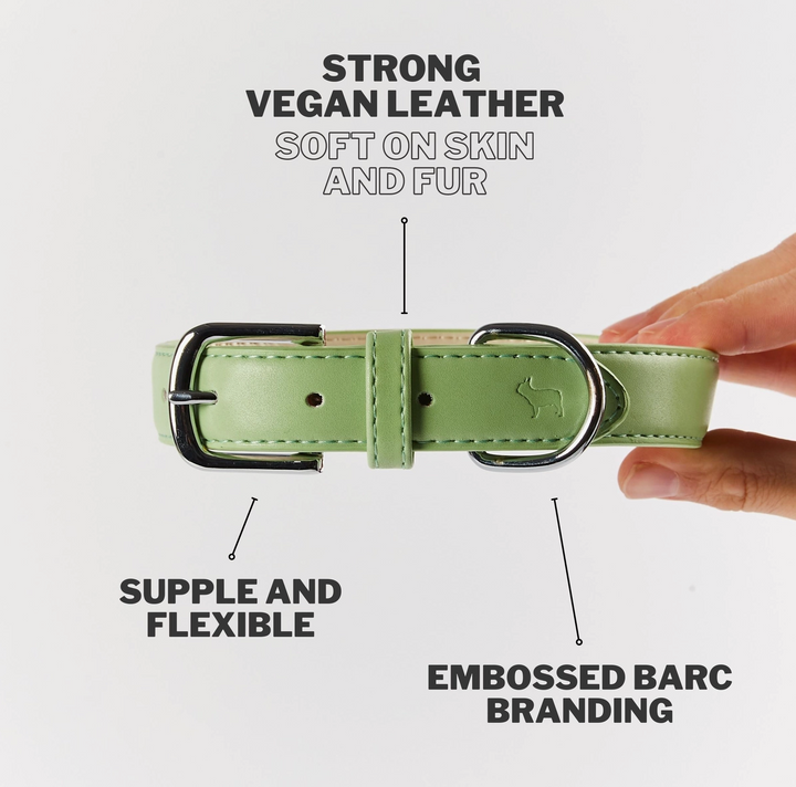 Lush Green Dog Collar | Barc London - Babelle