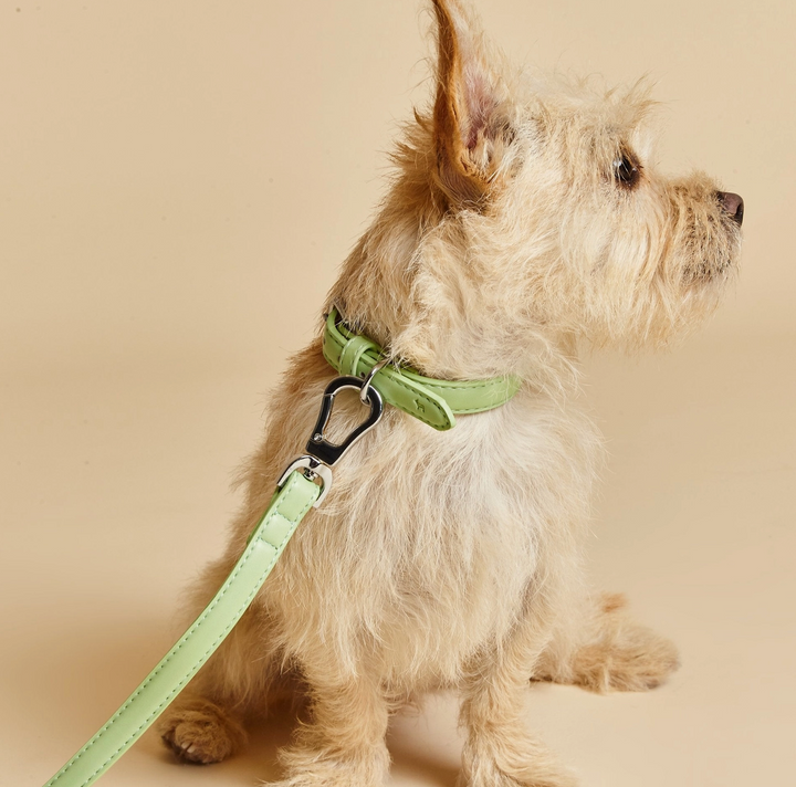 Lush Green Dog Collar | Barc London - Babelle