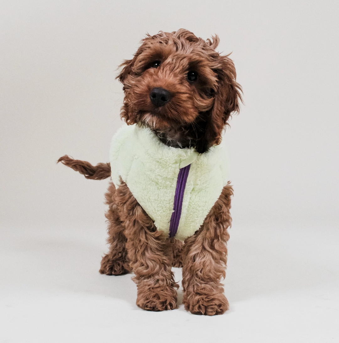 Lime Sherpa Fleece | Barc London - Babelle