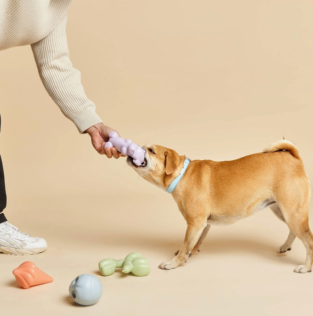 Gummy Squeaky Toy | Barc London - Babelle