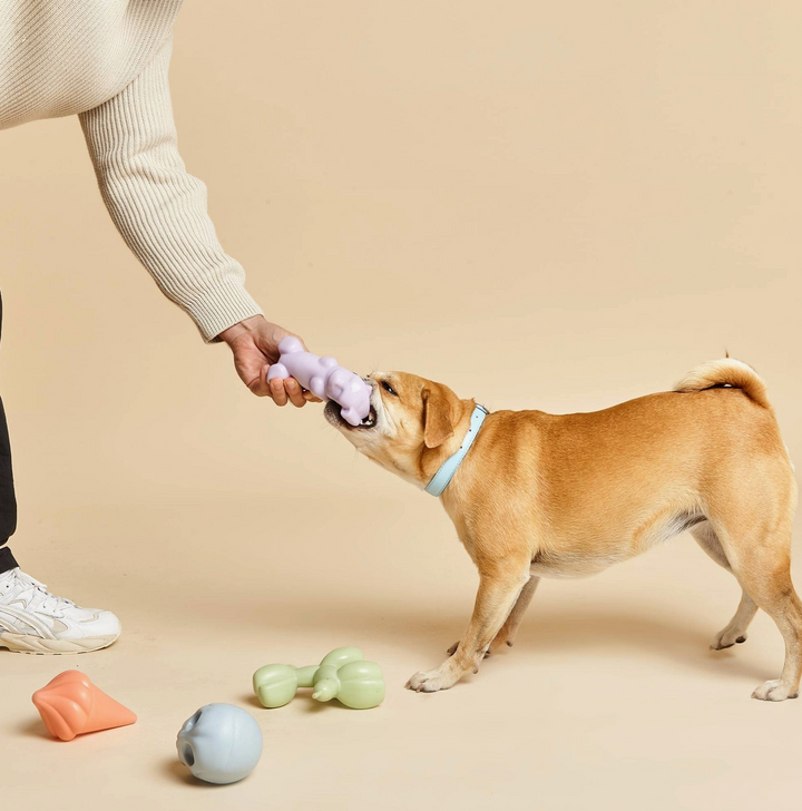 Gummy Squeaky Toy | Barc London - Babelle
