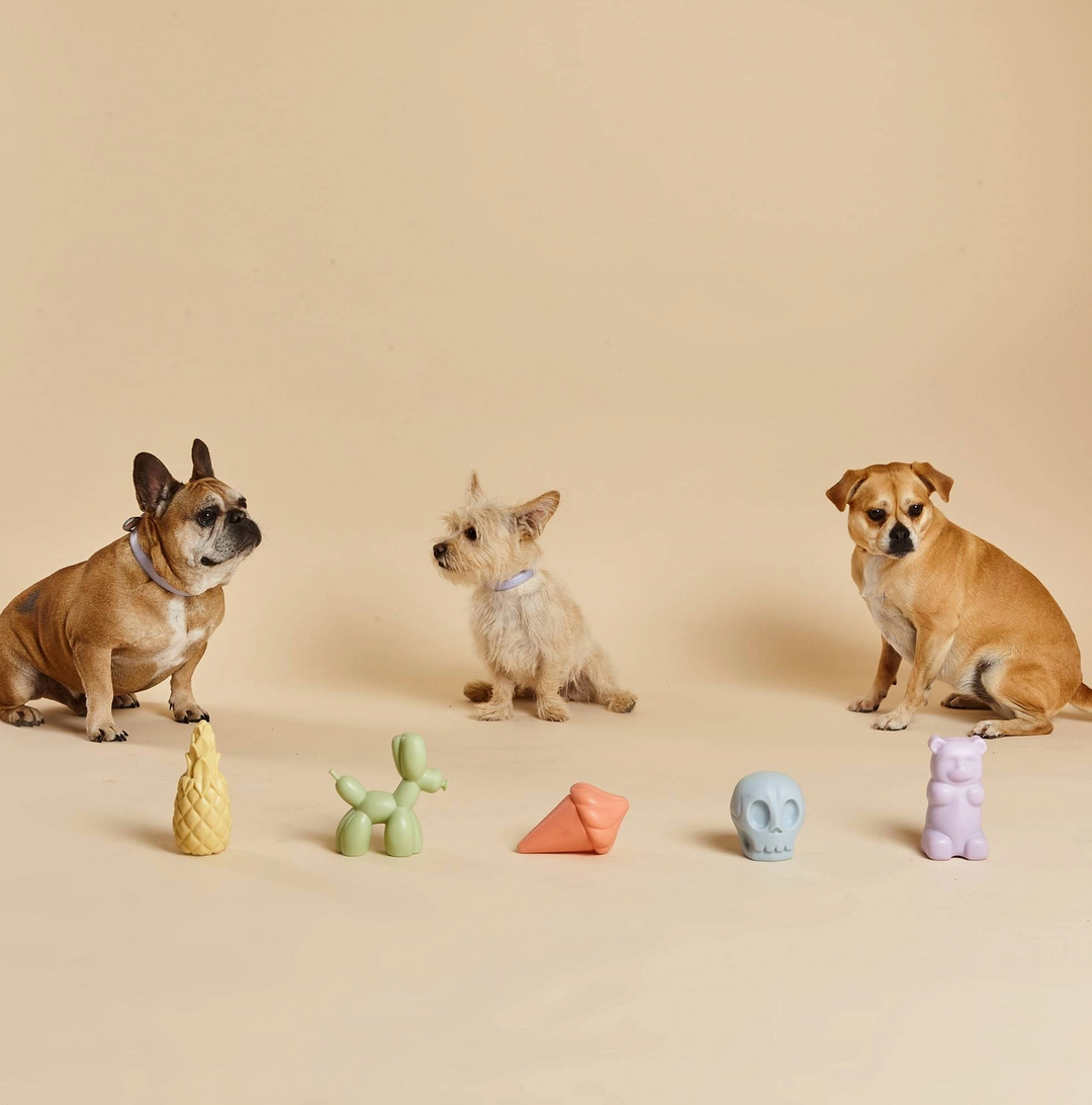 Skully Squeaky Toy | Barc London - Babelle