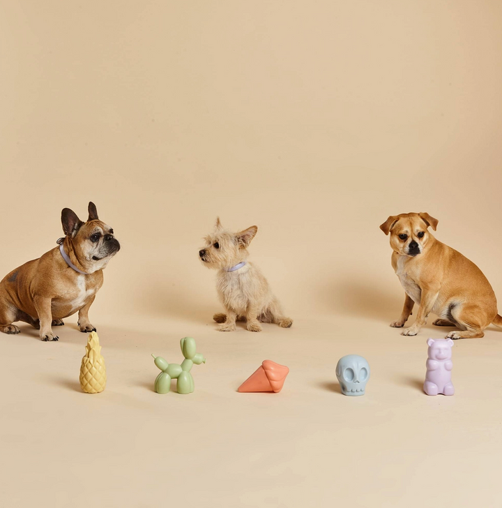 Skully Squeaky Toy | Barc London - Babelle