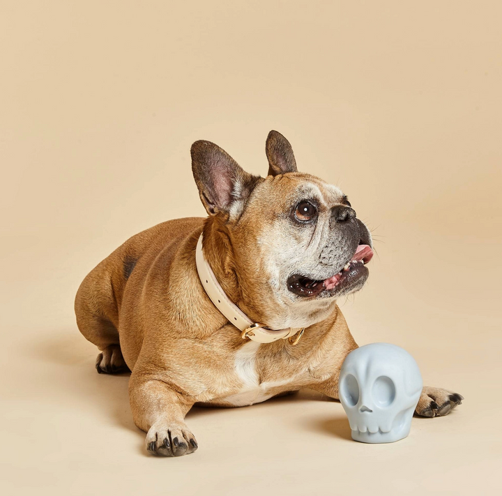 Skully Squeaky Toy | Barc London - Babelle