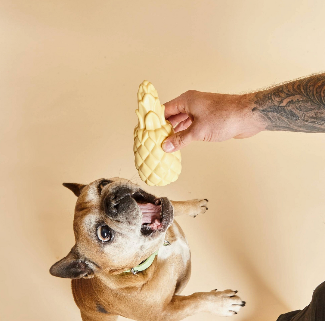 Pineapple Squeaky Toy | Barc London - Babelle
