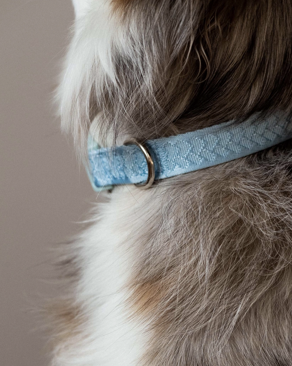 Cloud Collar | Peachy Dogs - Babelle
