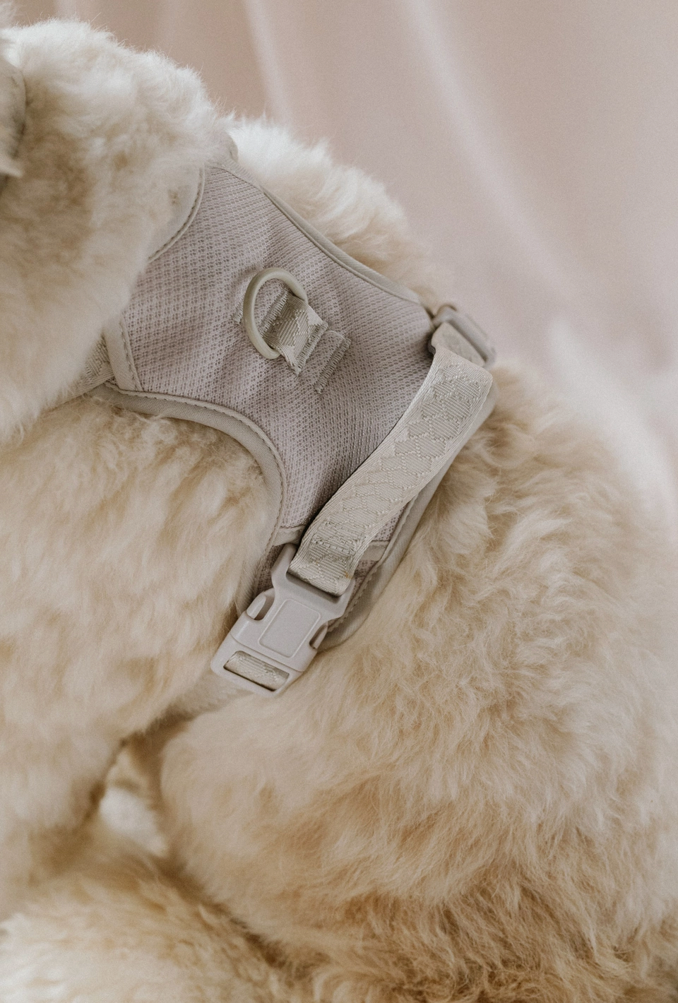 Oatmilk Harness| Peachy Dogs - Babelle