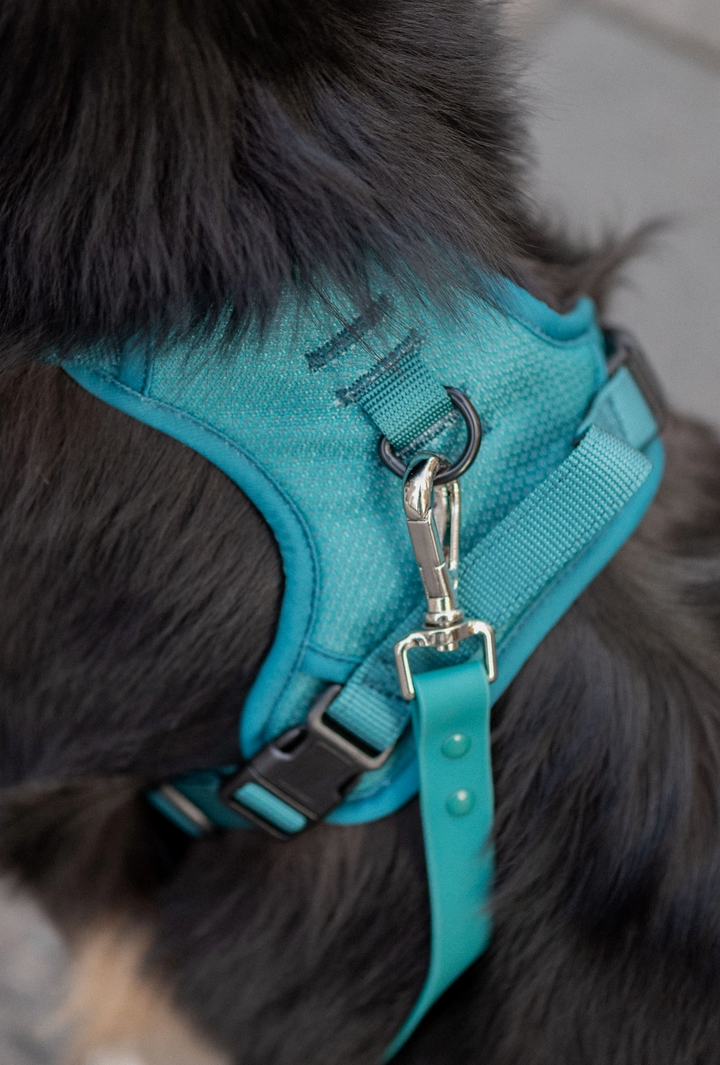 Mojito Harness| Peachy Dogs - Babelle