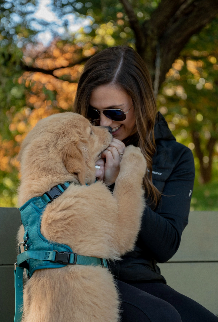 Mojito Harness| Peachy Dogs - Babelle