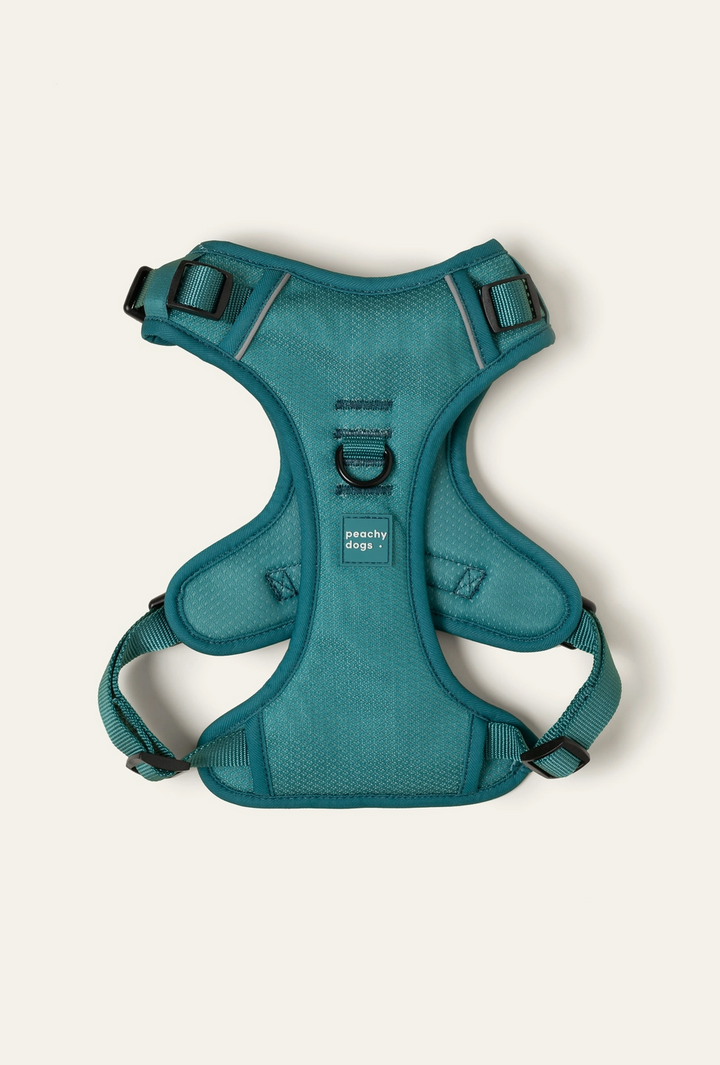 Mojito Harness| Peachy Dogs - Babelle