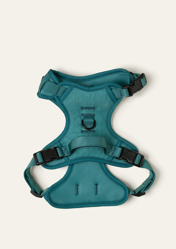Mojito Harness| Peachy Dogs - Babelle