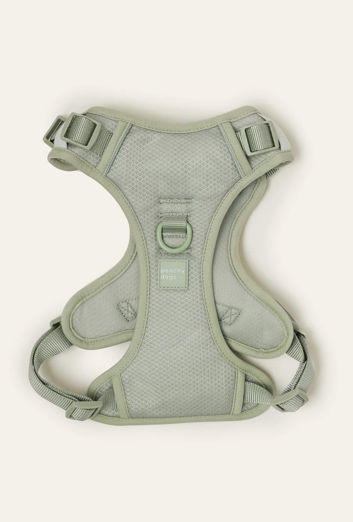 Matcha Harness| Peachy Dogs - Babelle